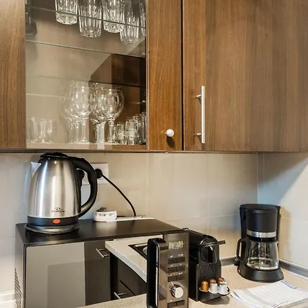 Downtown Rooftop Lejlighed *